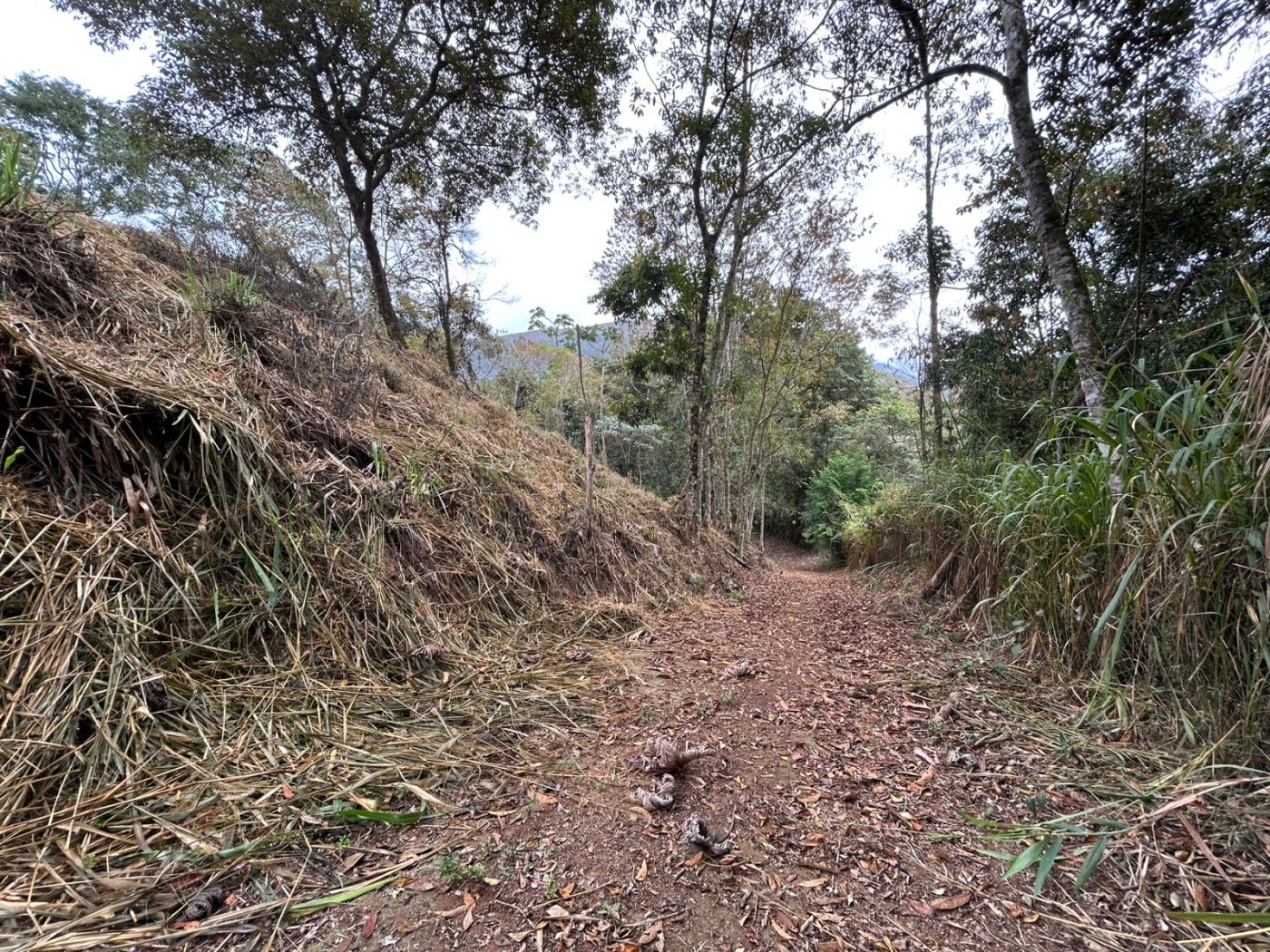 Terreno à venda, 178000m² - Foto 27