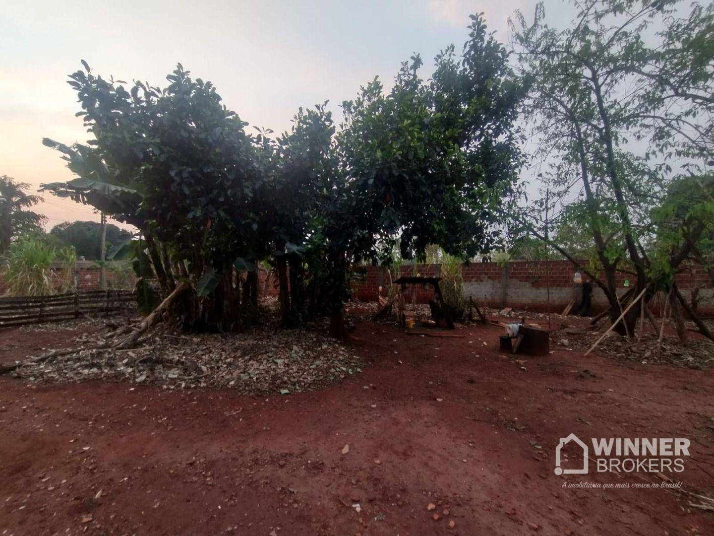 Chácara à venda com 1 quarto, 1000M2 - Foto 7