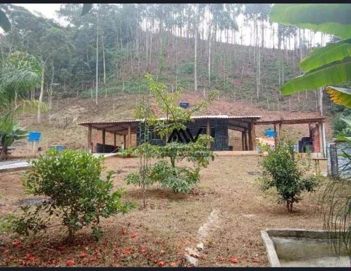 Chácara, 1 quarto, 4800 m² - Foto 4