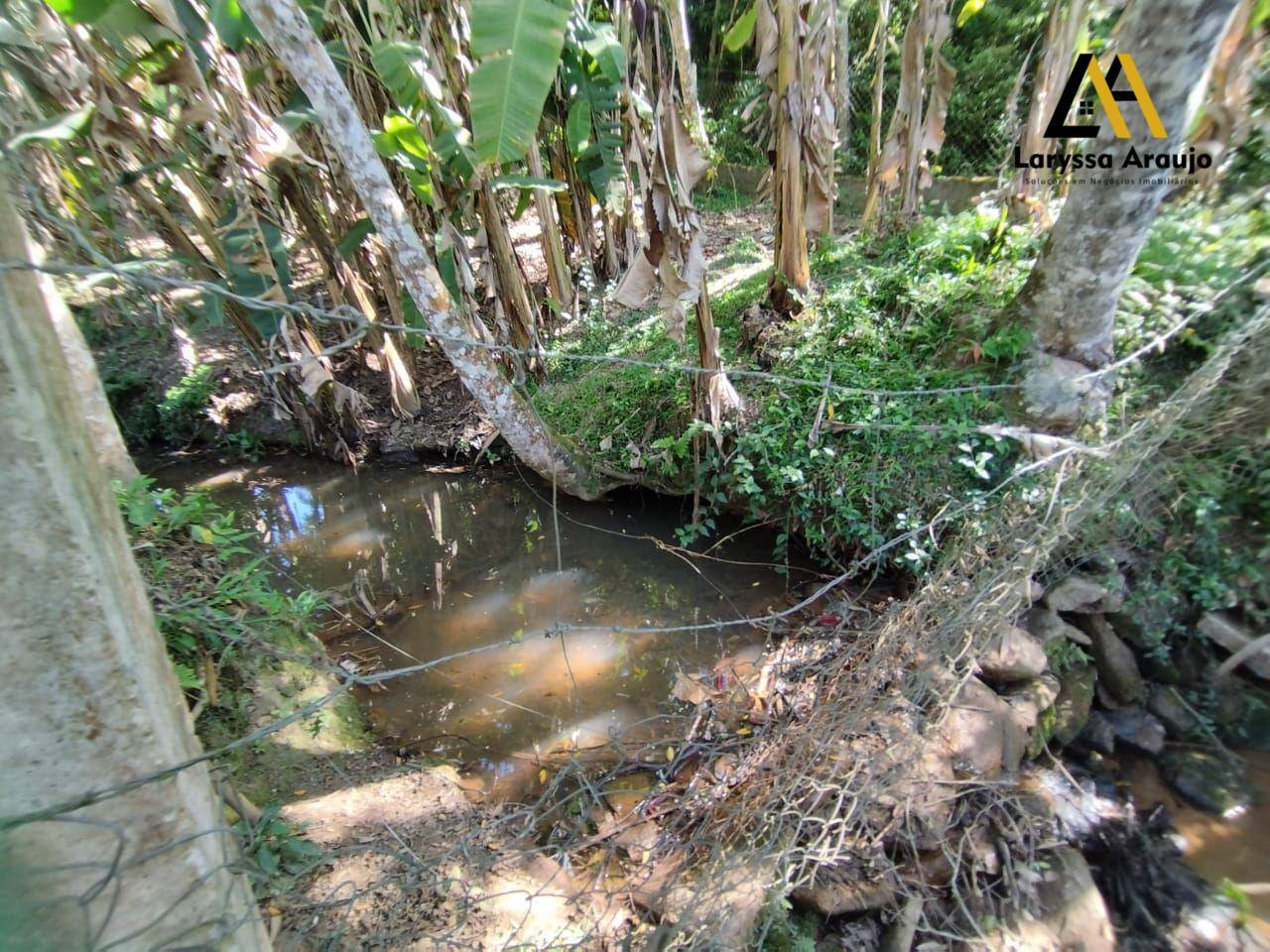 Chácara, 3 quartos, 1100 m² - Foto 4