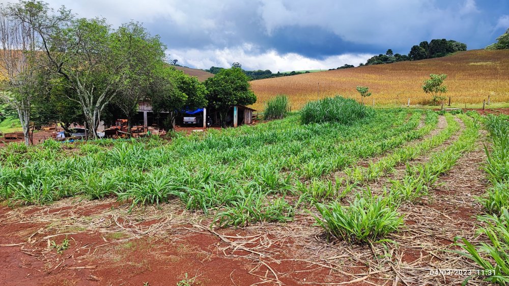 Fazenda à venda, 48400m² - Foto 7