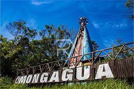 Kitnet-Studio, 33 m² - Foto 14