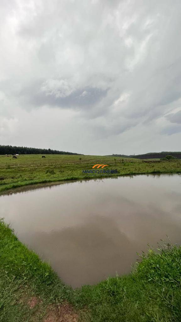 Sítio, 46 hectares - Foto 3