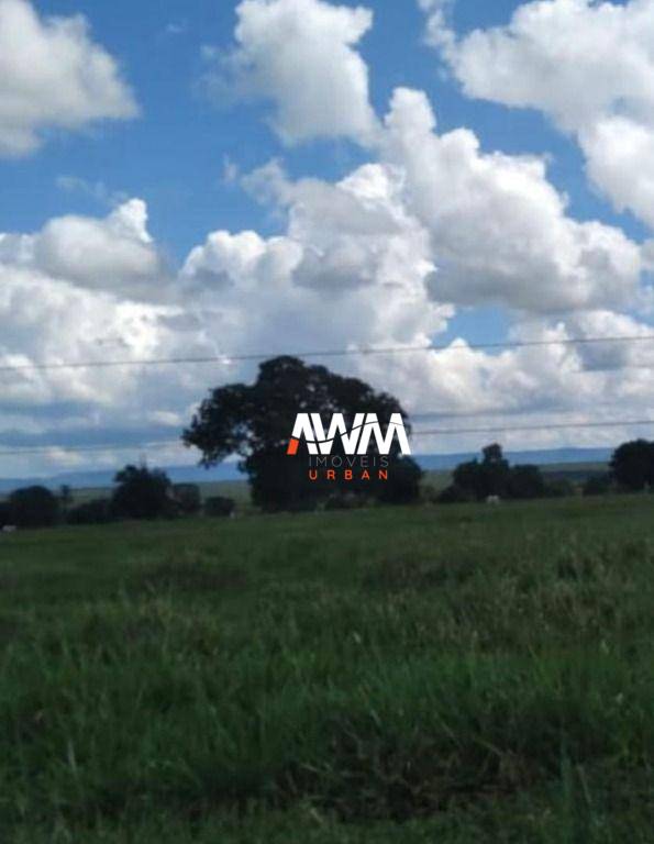 Fazenda, 439 hectares - Foto 4