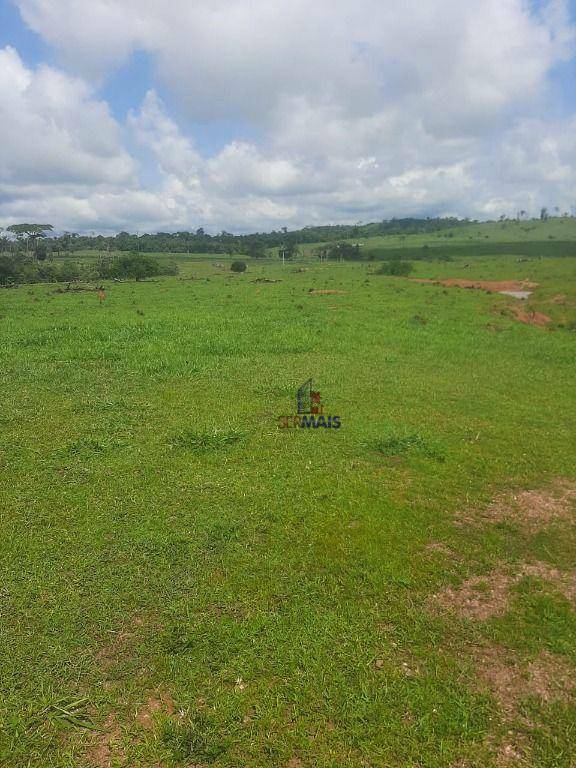 Fazenda à venda com 1 quarto, 3533200M2 - Foto 9