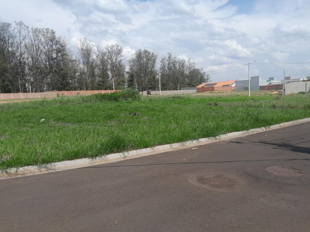 Terreno à venda, 250m² - Foto 2