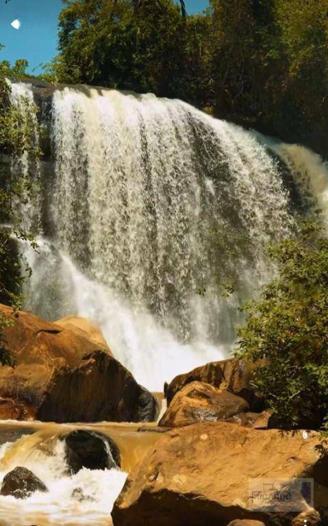 Chácara, 6 quartos, 6825 m² - Foto 4