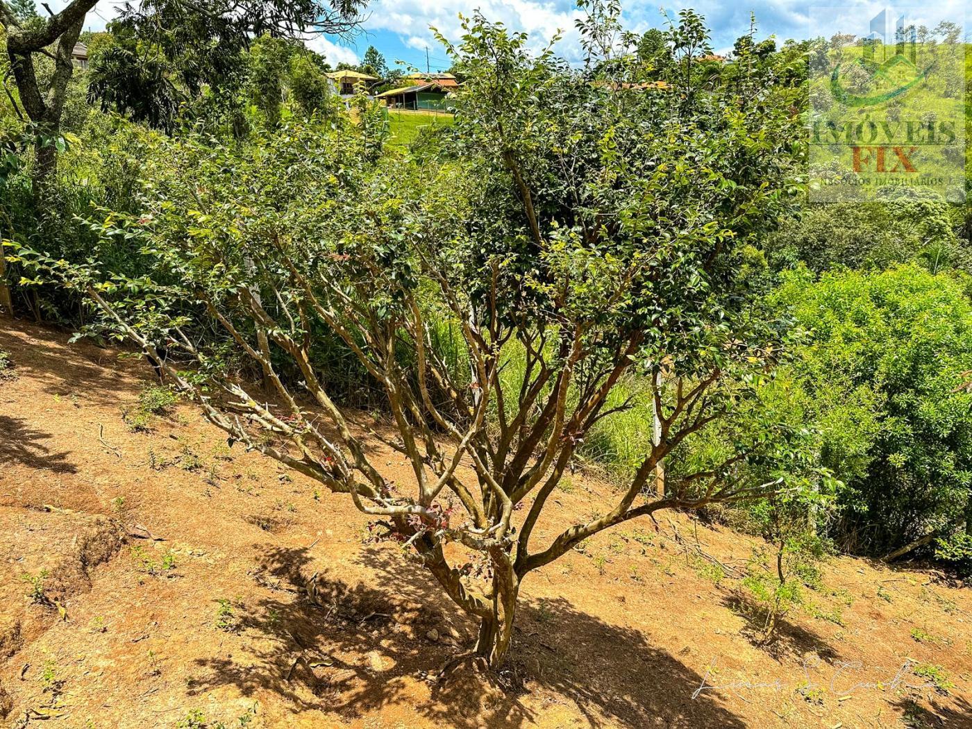 Fazenda à venda com 2 quartos, 150m² - Foto 16