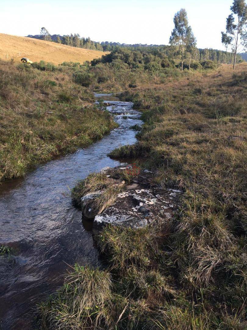 Sítio à venda, 293000M2 - Foto 6