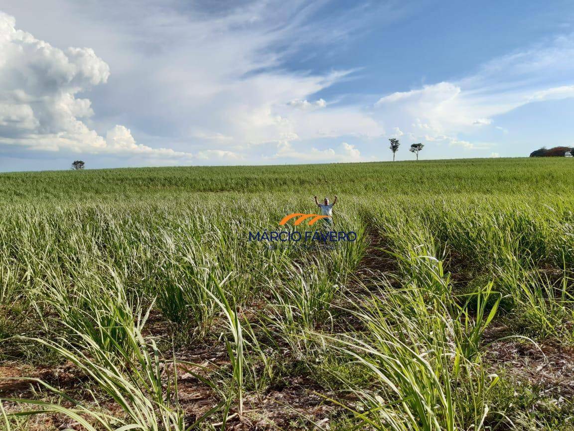 Fazenda, 182 hectares - Foto 3