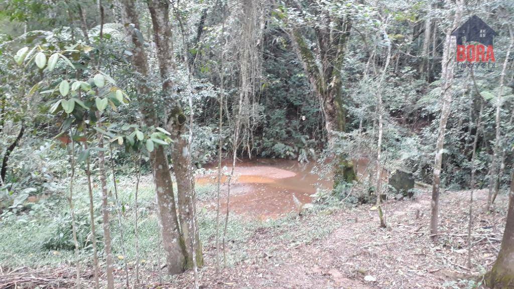 Terreno à venda, 500000M2 - Foto 9