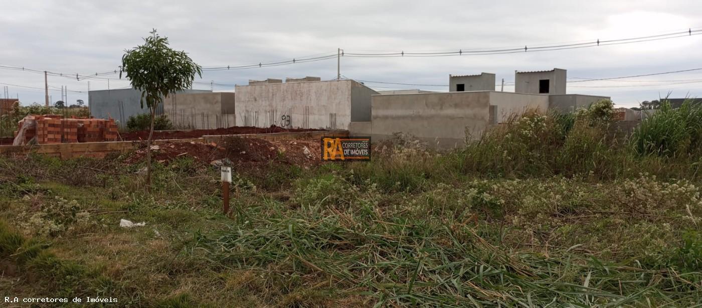 Casa à venda com 3 quartos, 300m² - Foto 23