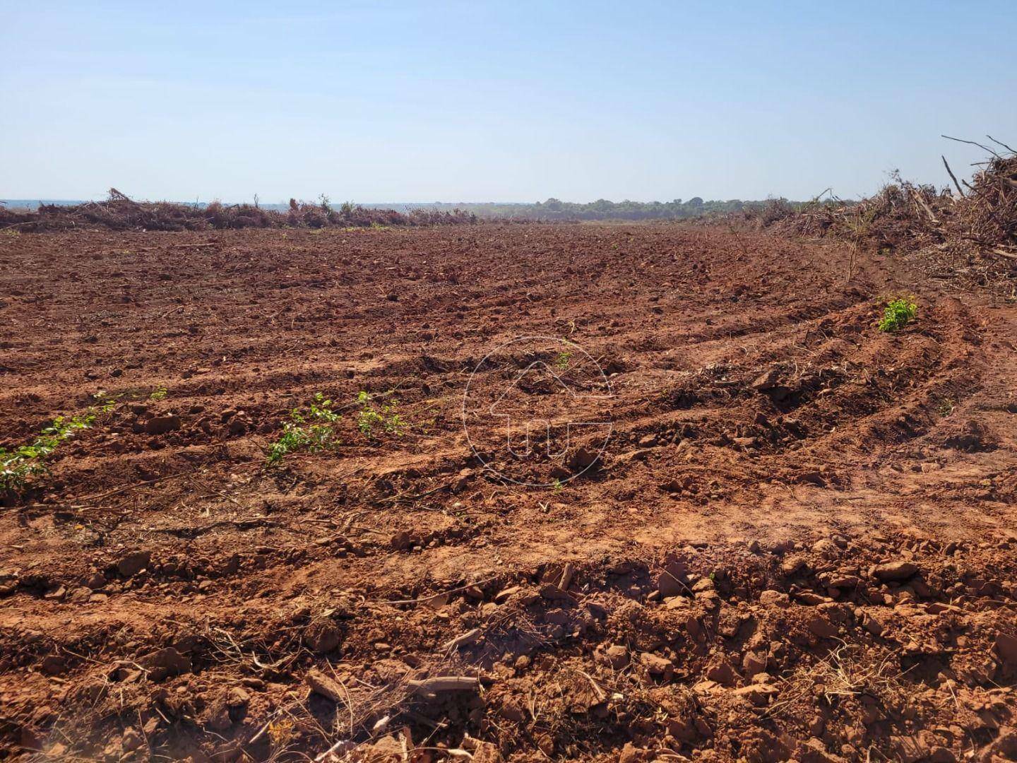 Fazenda à venda, 52000000M2 - Foto 44