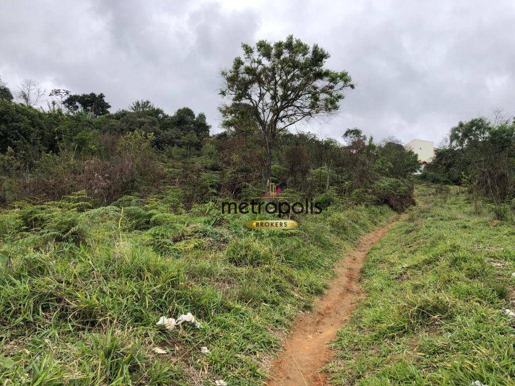 Terreno, 4 hectares - Foto 4