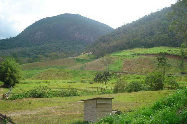 Fazenda à venda com 3 quartos, 500m² - Foto 26