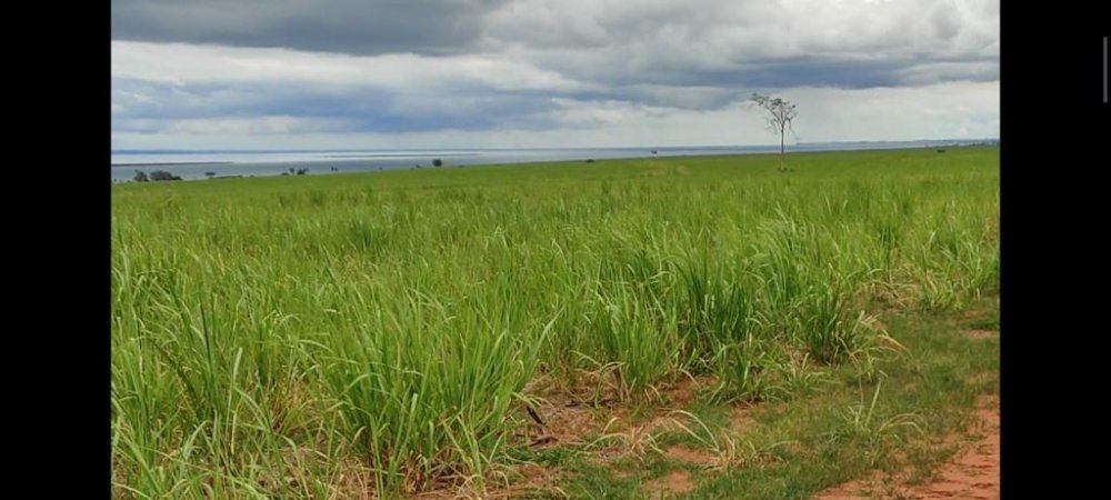Fazenda-Sítio-Chácara, 1275 hectares - Foto 2