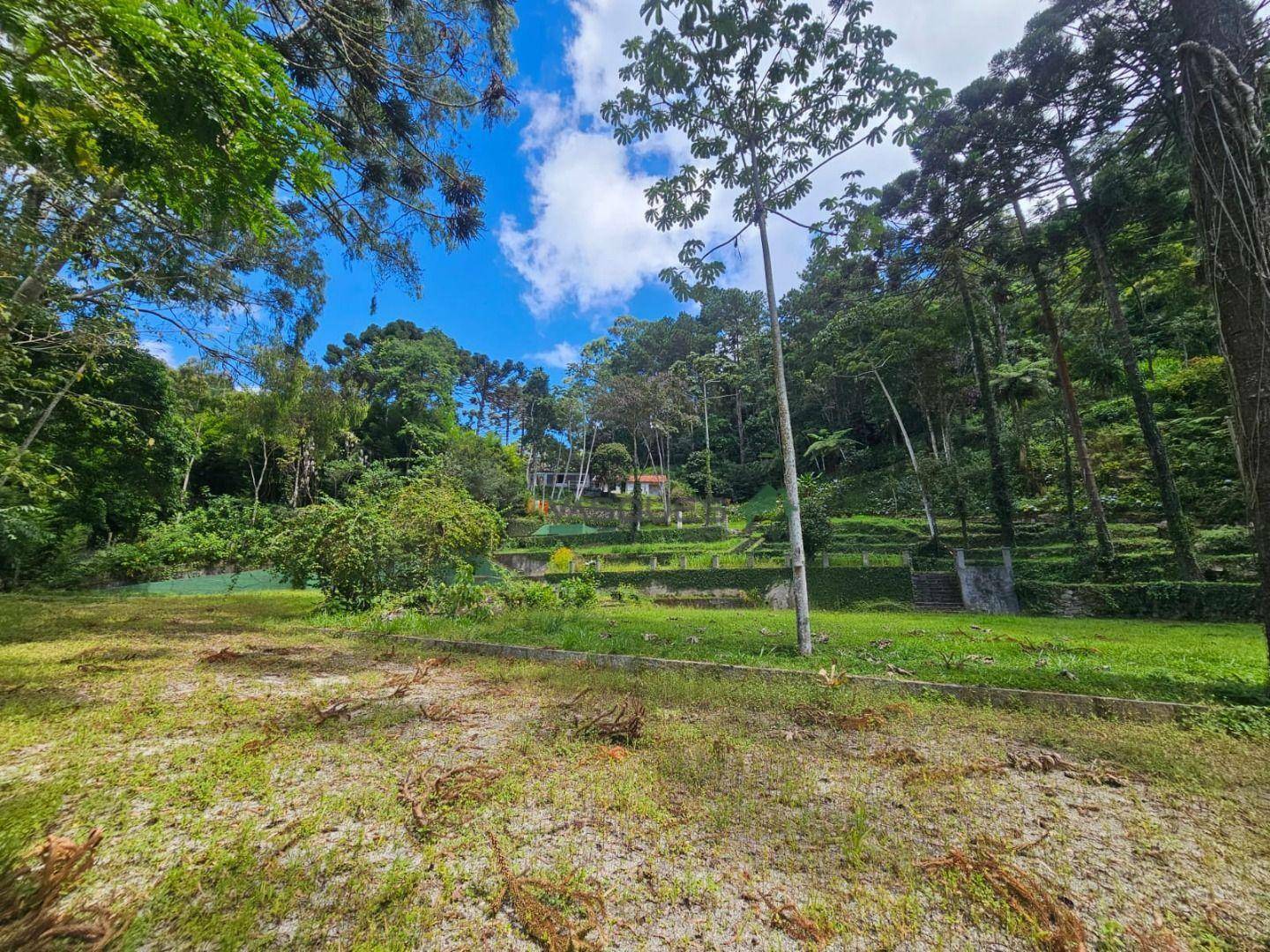 Sítio à venda, 31600M2 - Foto 11