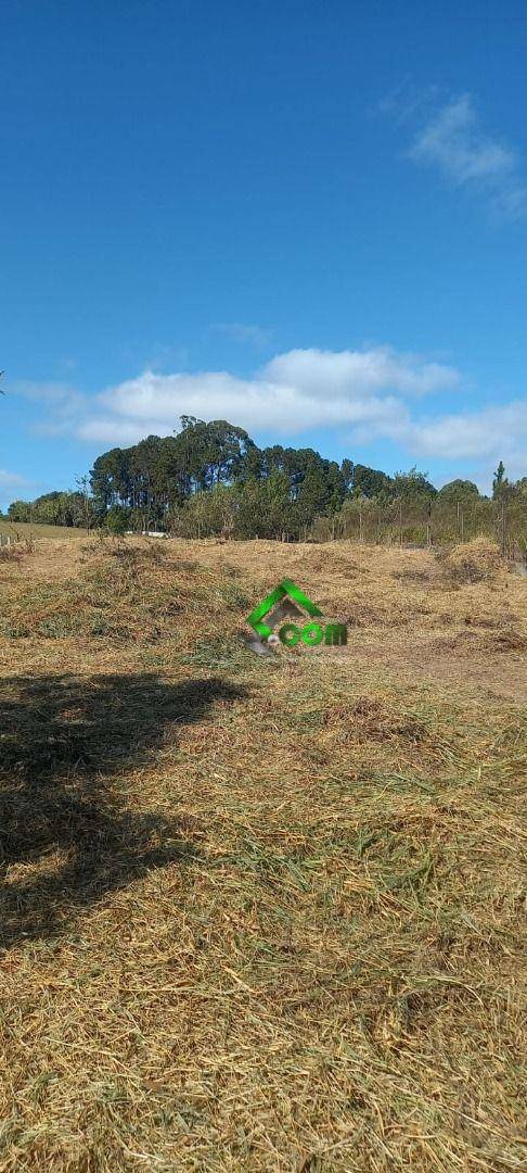 Terreno à venda, 1130M2 - Foto 4