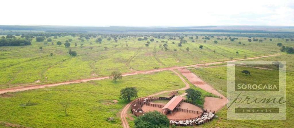 Fazenda-Sítio-Chácara, 4722 hectares - Foto 3