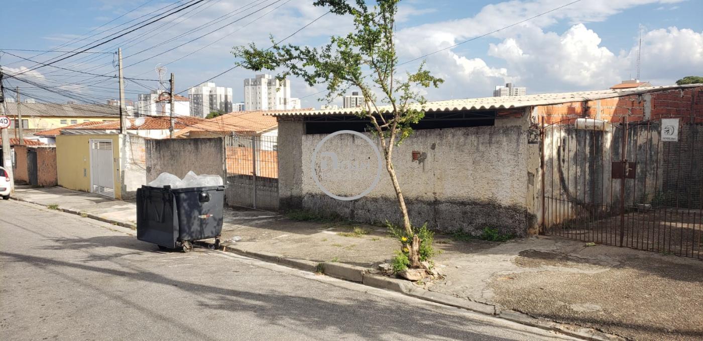 Terreno à venda com 1 quarto, 1200m² - Foto 10