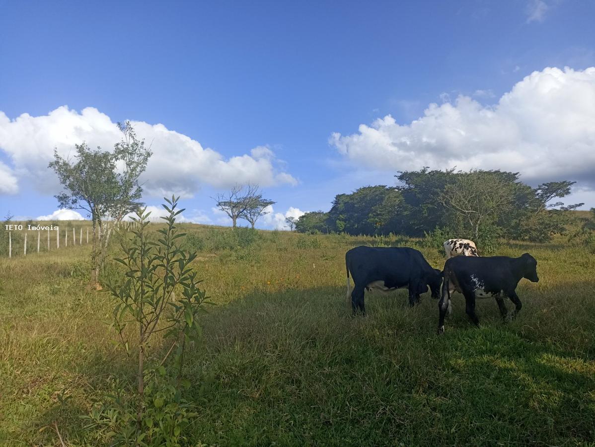 Fazenda à venda, 7m² - Foto 25