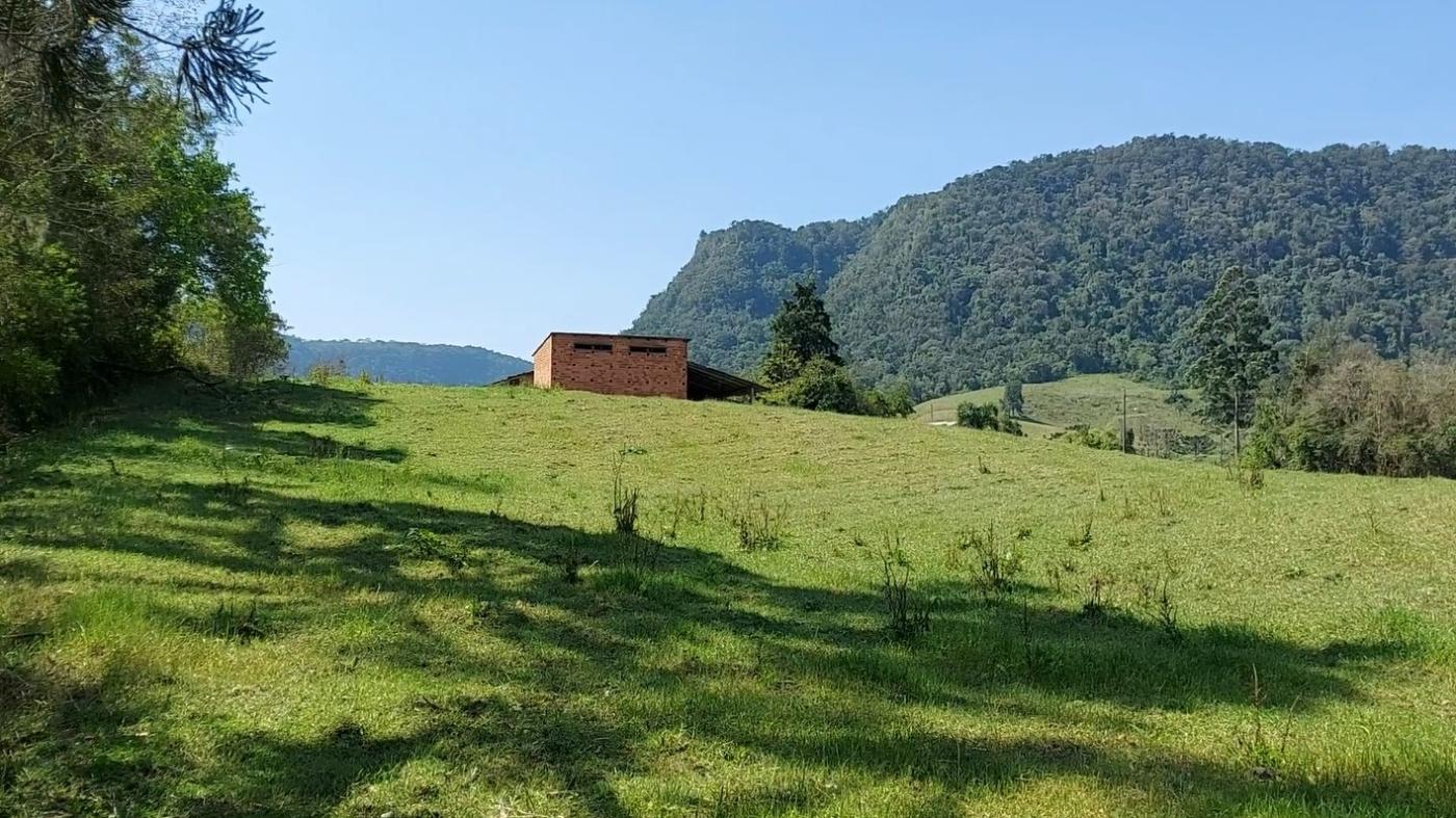 Fazenda à venda com 4 quartos, 101500m² - Foto 20