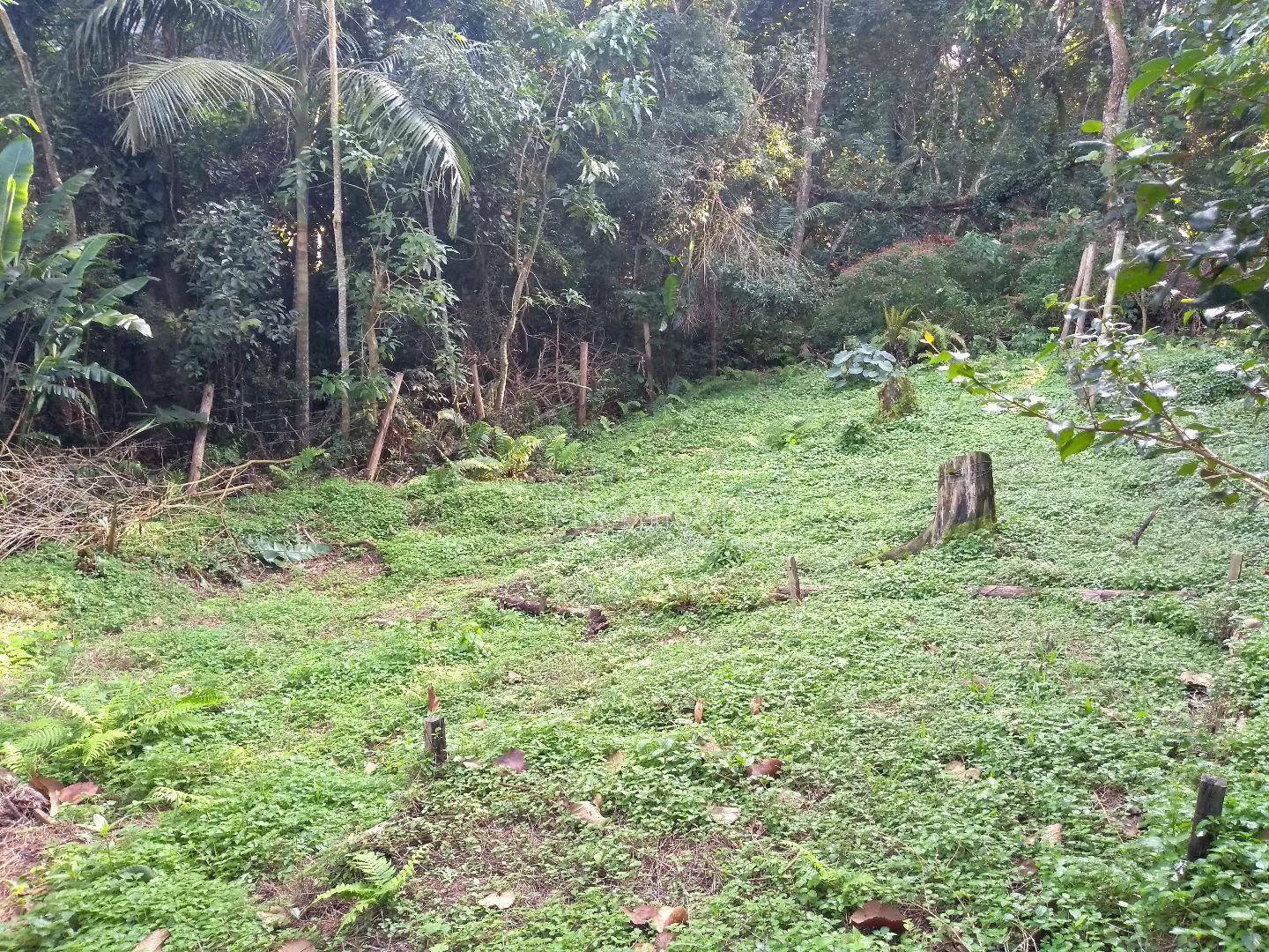 Loteamento e Condomínio à venda, 4500M2 - Foto 2