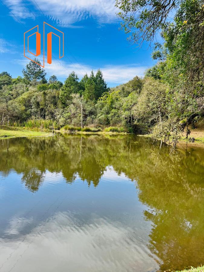 Chácara à venda, 10000m² - Foto 15