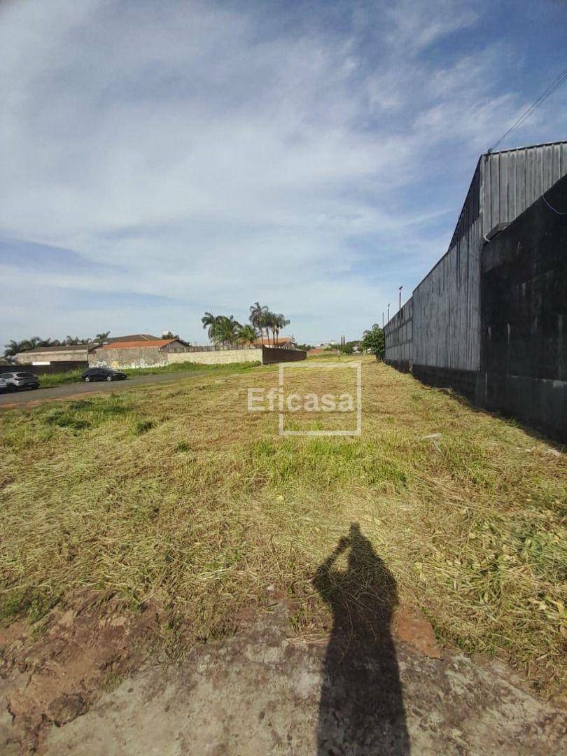 Terreno, 1620 m² - Foto 3