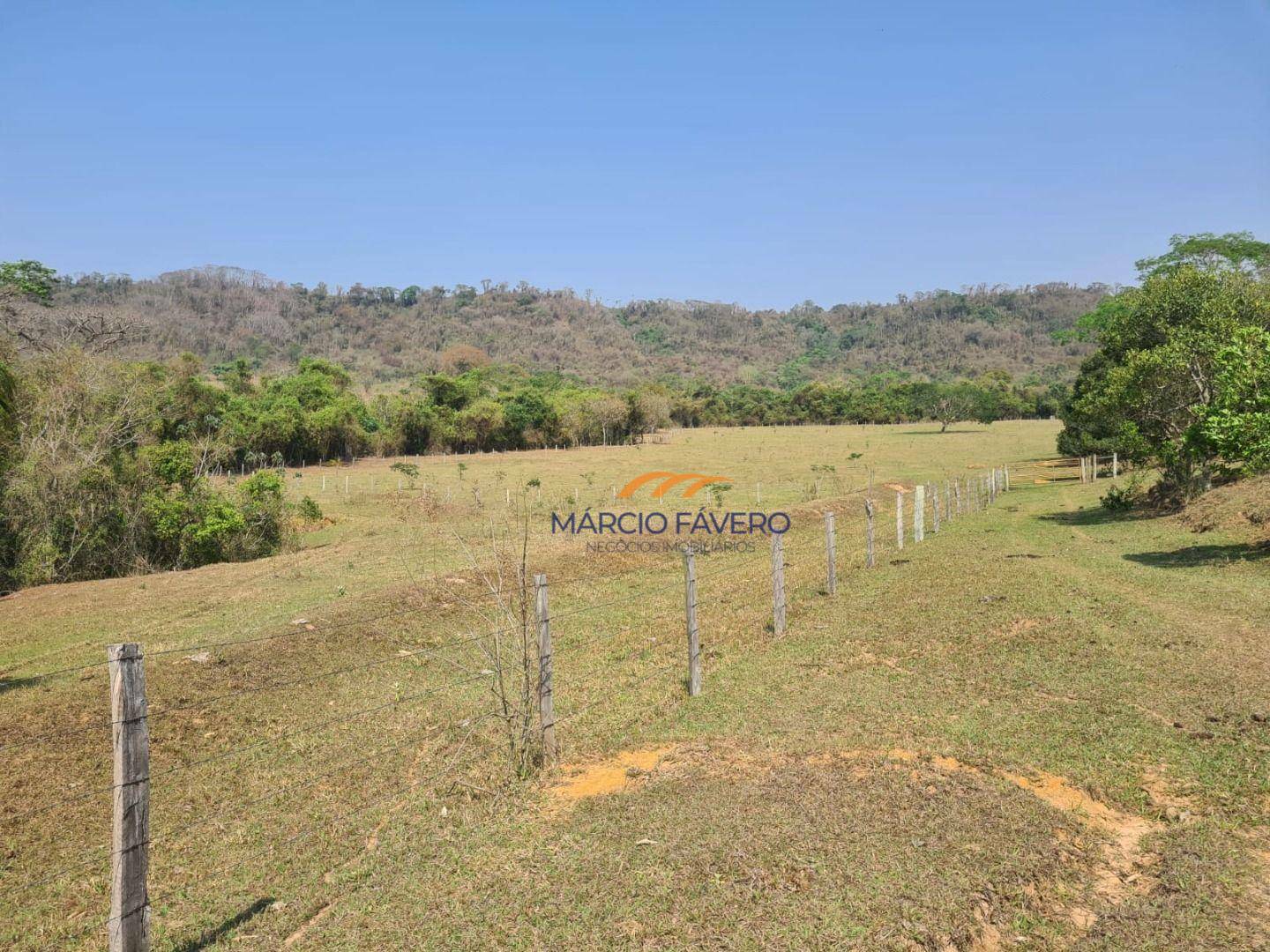 Fazenda à venda, 2299000M2 - Foto 22