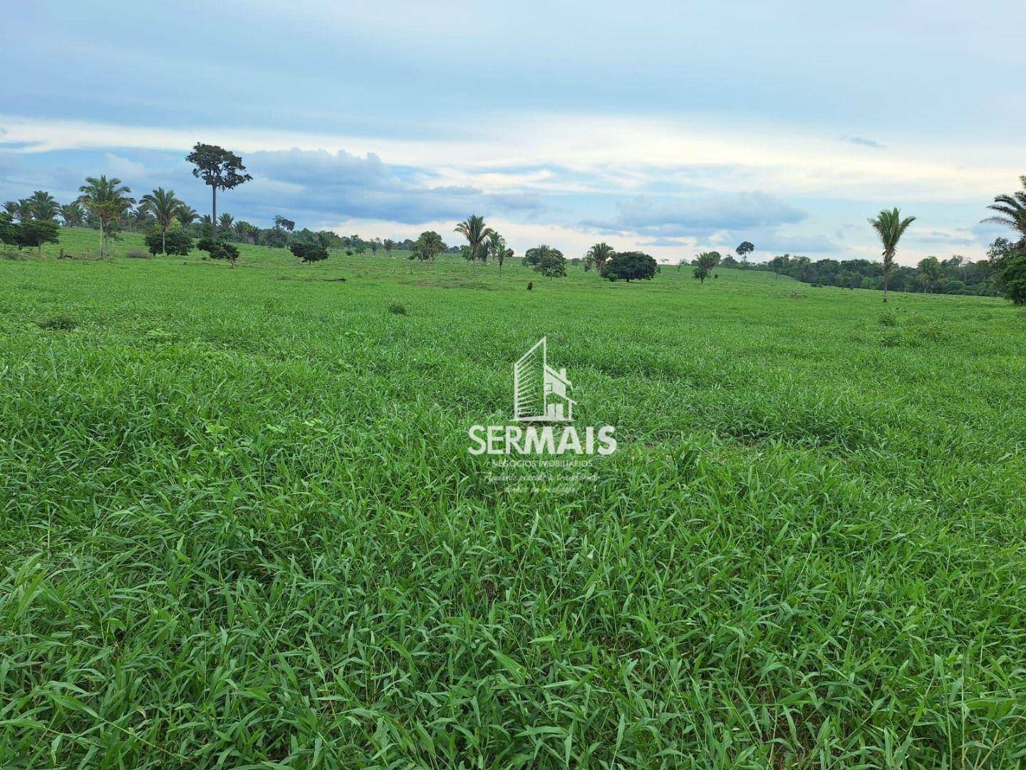Fazenda à venda, 4356000M2 - Foto 12