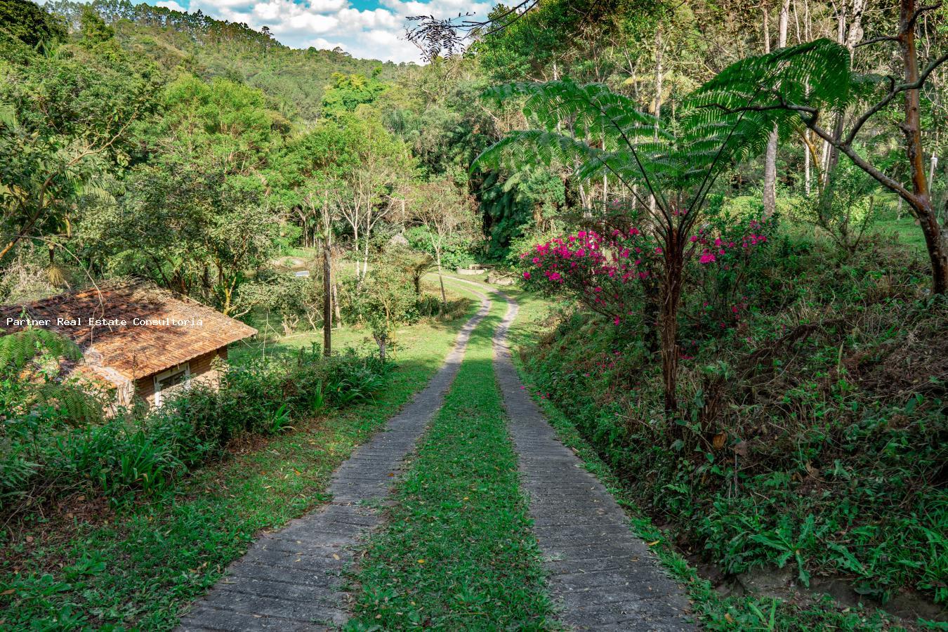 Casa à venda com 3 quartos, 79m² - Foto 7