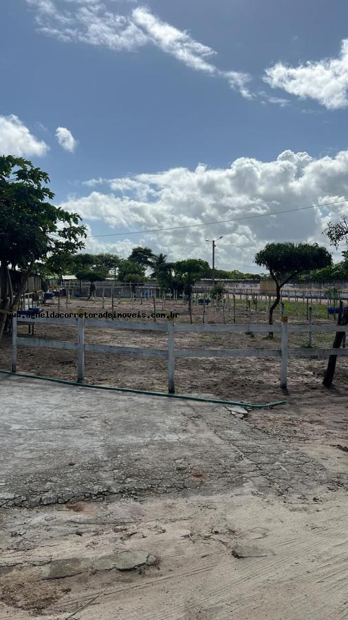 Fazenda à venda com 2 quartos, 6300m² - Foto 11