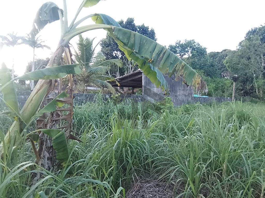 Terreno, 1000 m² - Foto 3