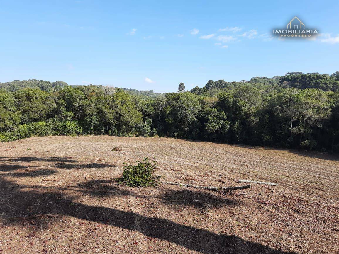 Terreno à venda, 67760M2 - Foto 12