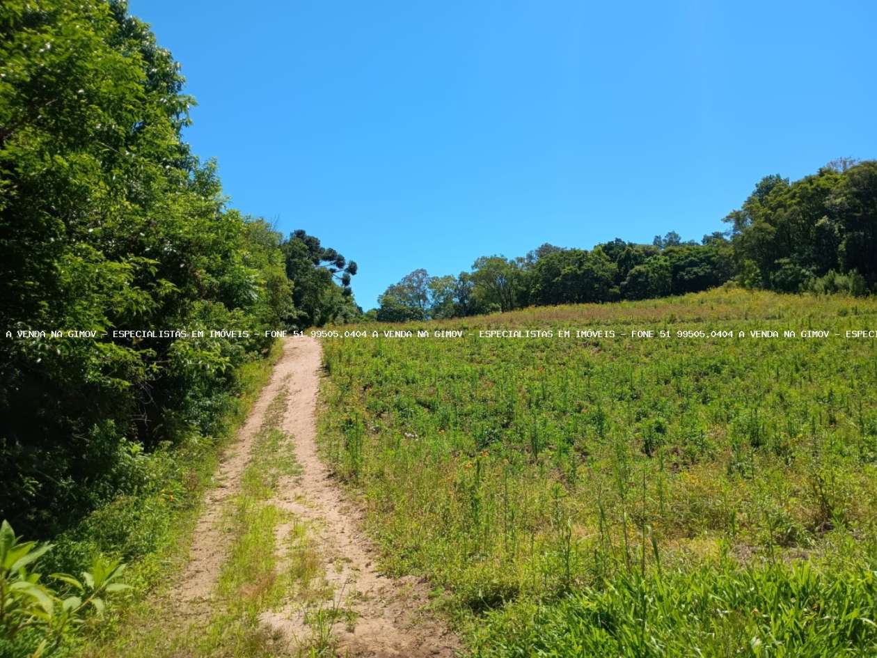 Sítio, 9 m² - Foto 13