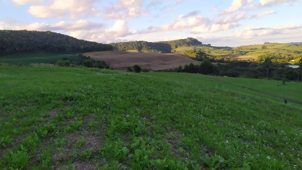 Fazenda à venda, 17m² - Foto 14