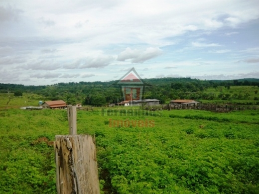 Fazenda-Sítio-Chácara, 1500 hectares - Foto 1