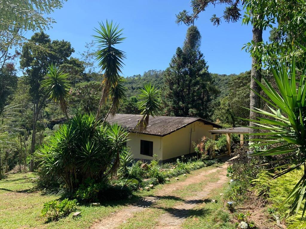 Sítio à venda com 3 quartos, 30831m² - Foto 3