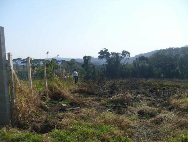 Terreno à venda, 6000m² - Foto 10