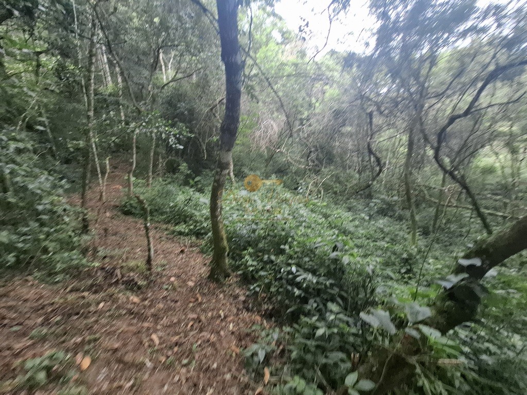 Terreno à venda, 216036m² - Foto 16