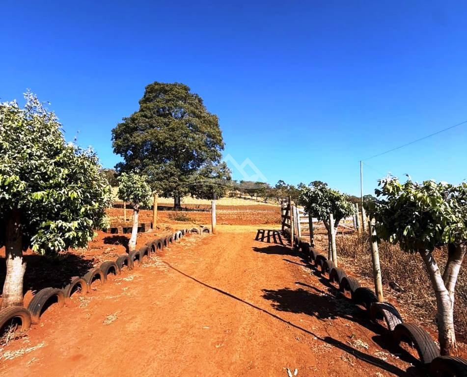 Chácara, 3 quartos, 4744 m² - Foto 1