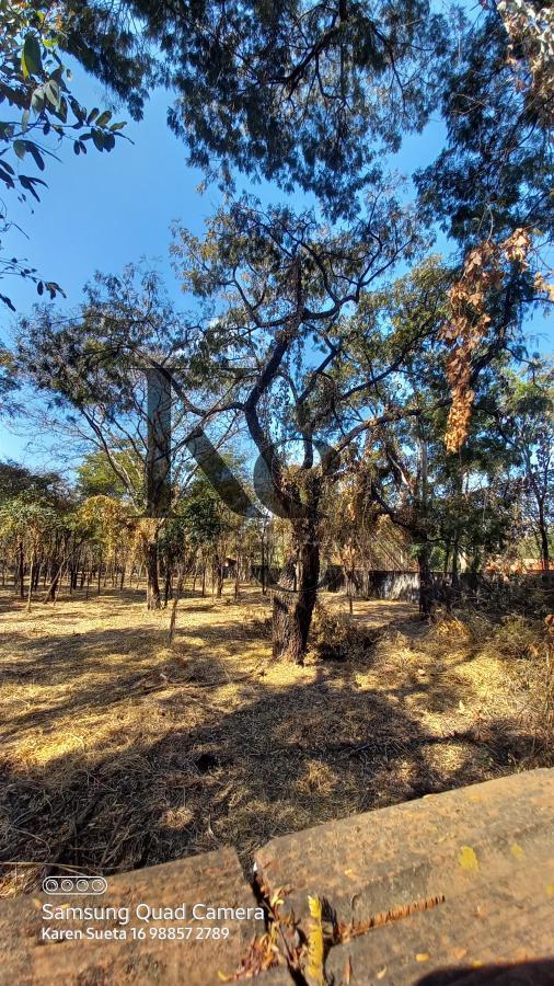 Fazenda à venda, 5850m² - Foto 13