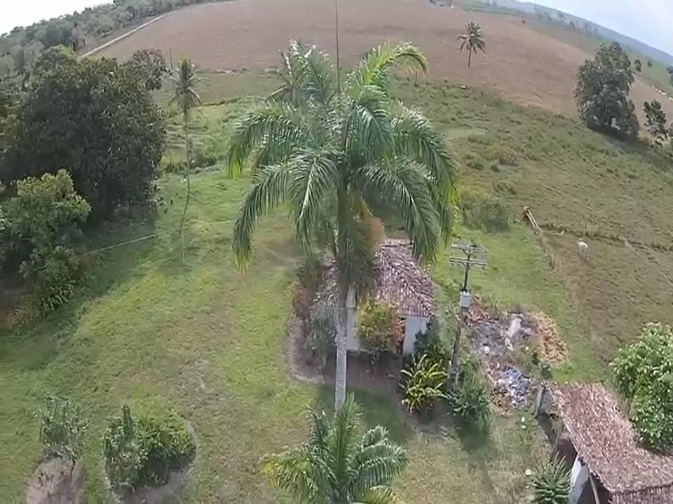 Fazenda-Sítio-Chácara, 1000 m² - Foto 4