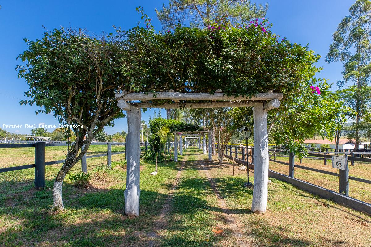 Fazenda à venda com 3 quartos, 133100m² - Foto 3