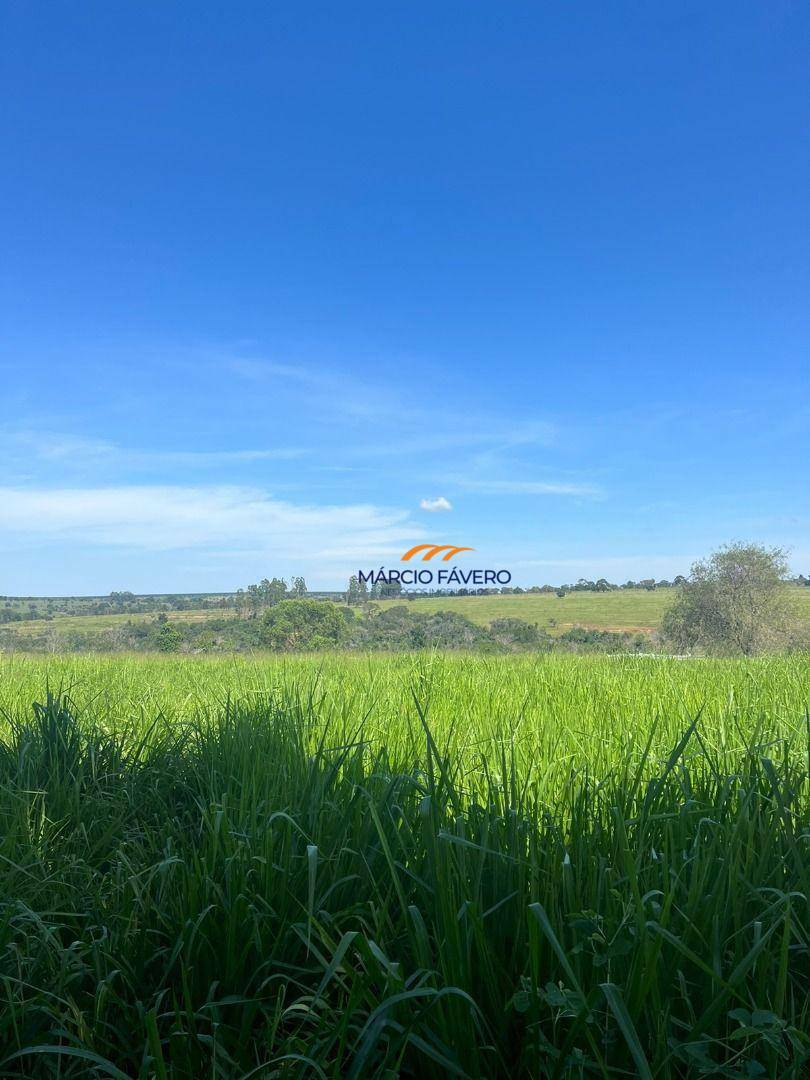 Fazenda, 322 hectares - Foto 6