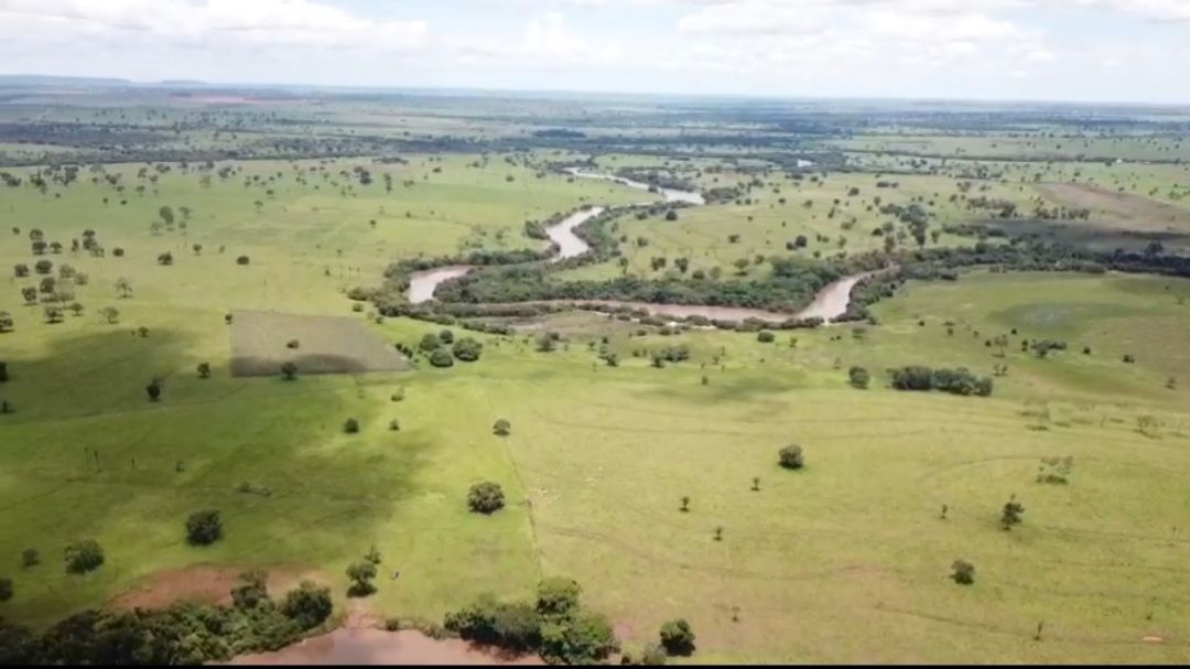 Fazenda-Sítio-Chácara, 726 hectares - Foto 5