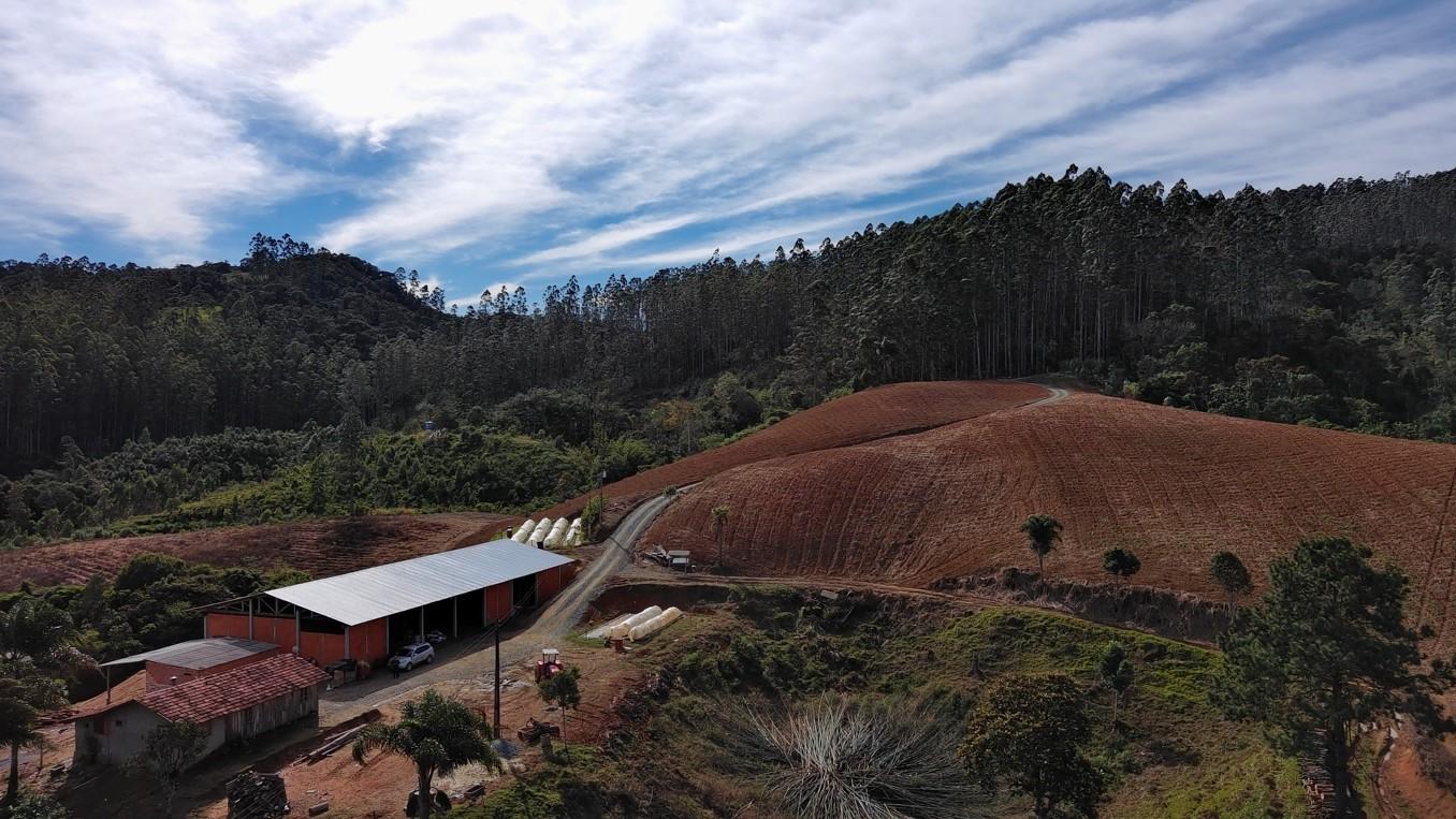 Fazenda à venda com 3 quartos, 260000m² - Foto 10