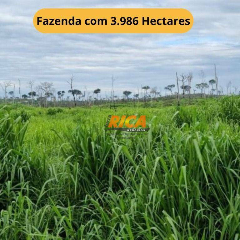 Fazenda à venda, 39860000M2 - Foto 1