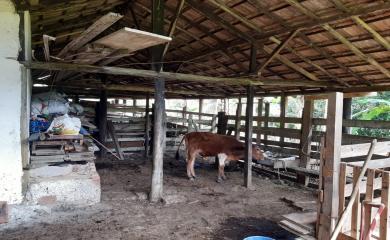 Fazenda à venda com 5 quartos, 150000m² - Foto 7